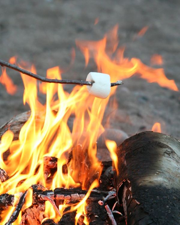 Roasting marshmallows over a fire